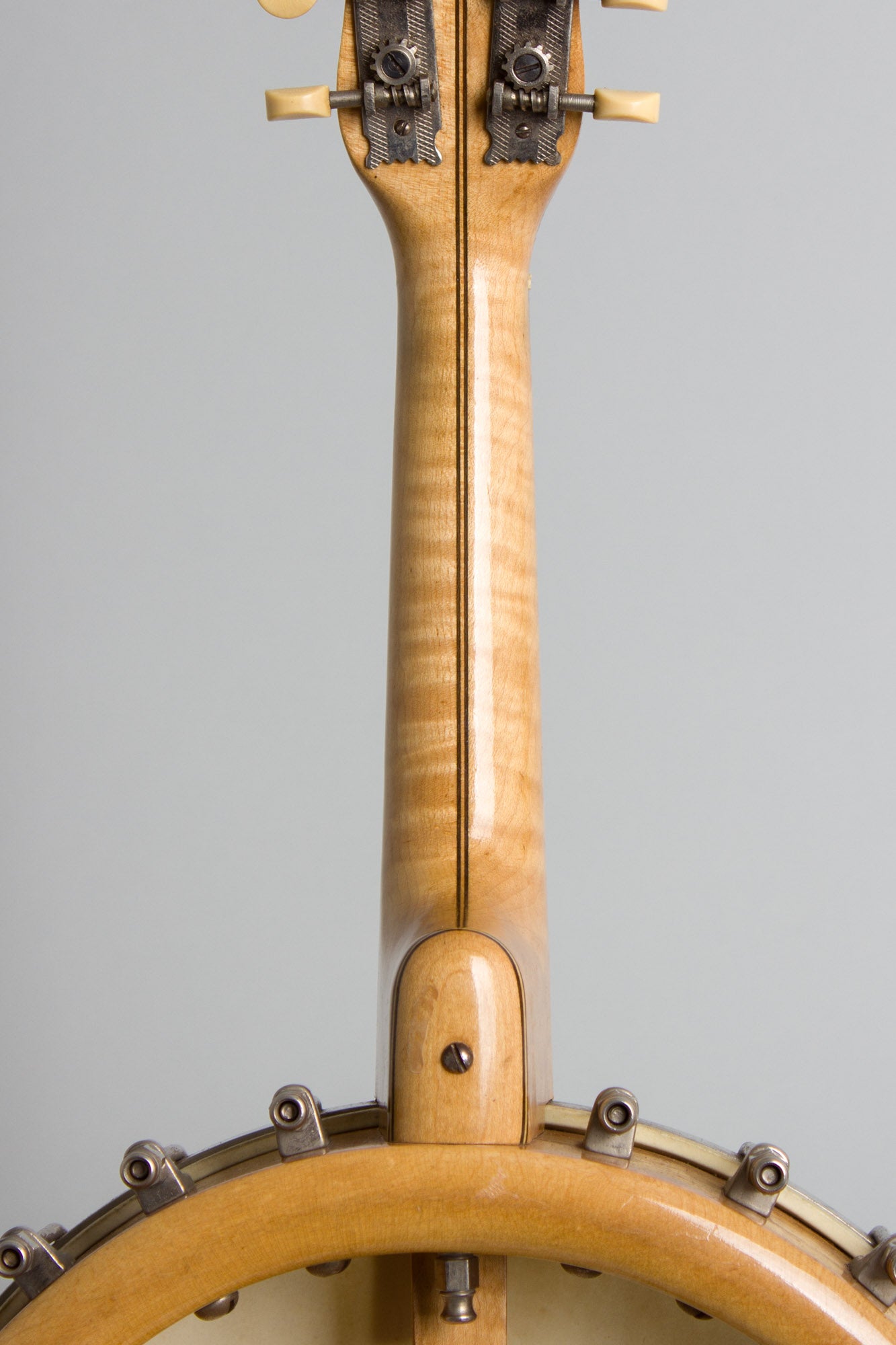 Favilla Bros. Mandolin Banjo (1920)