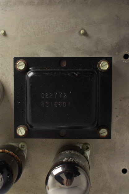 Fender Princeton Reverb Tube Amplifier (1966)
