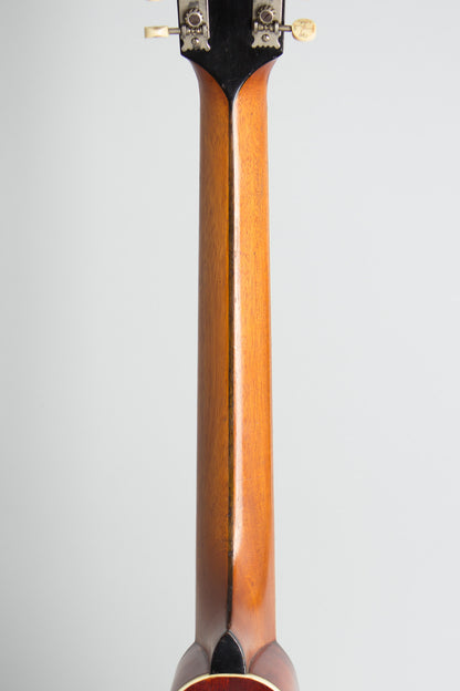 Gibson K-2 Carved Top Mandocello (1914)