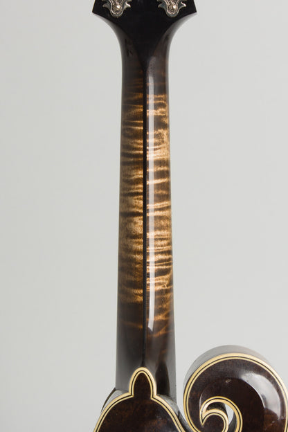 Northfield NFA-5V1E Mike Marshall Artist 5-Bar Carved Top Mandolin (2020)