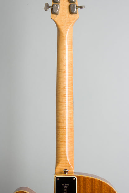 Burns GB 65 Semi-Hollow Body Electric Guitar (1965)