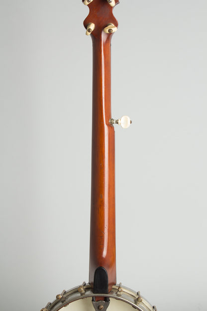 S. S. Stewart Lady Stewart #2 5 String Banjo (1899)