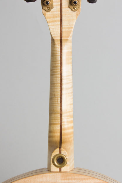 Round Acoustic Mandolin (2025)