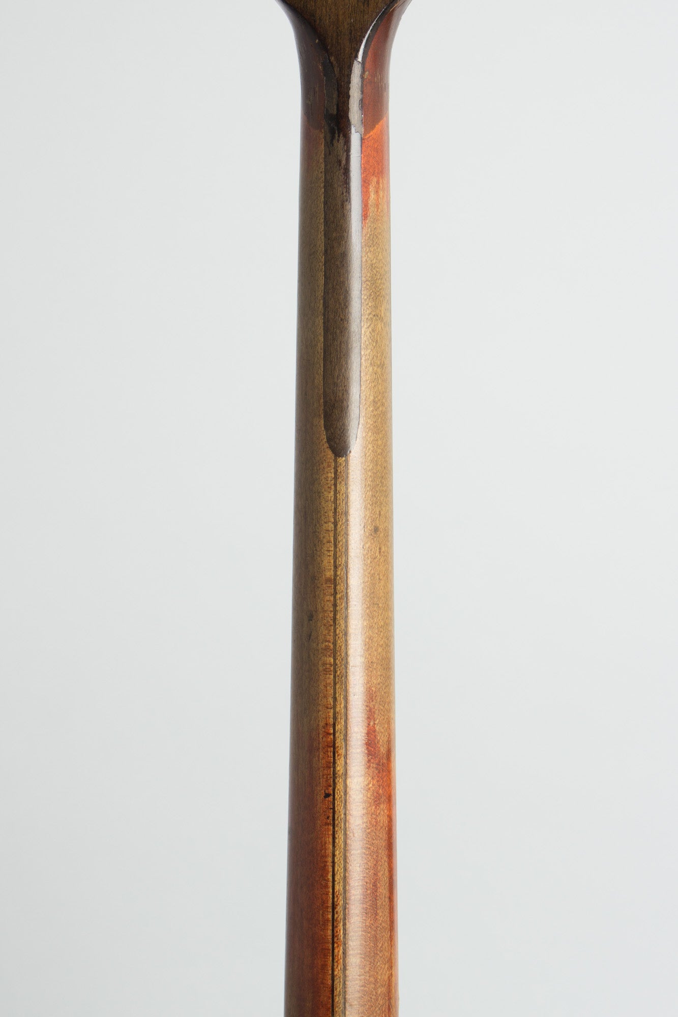 Vega Vegavox III Artist Tenor Banjo (1931)