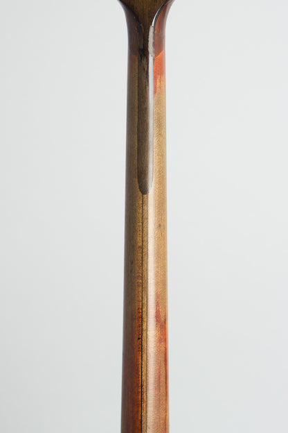 Vega Vegavox III Artist Tenor Banjo (1931)