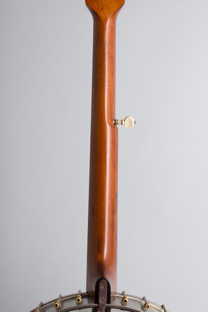 S. S. Stewart Cello Banjo (1900)