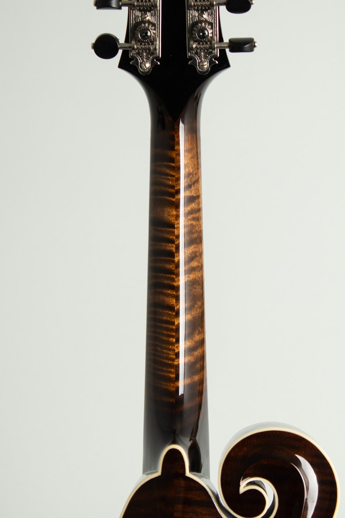 Northfield NFB-F5E Big Mon Carved Top Mandolin (2026)
