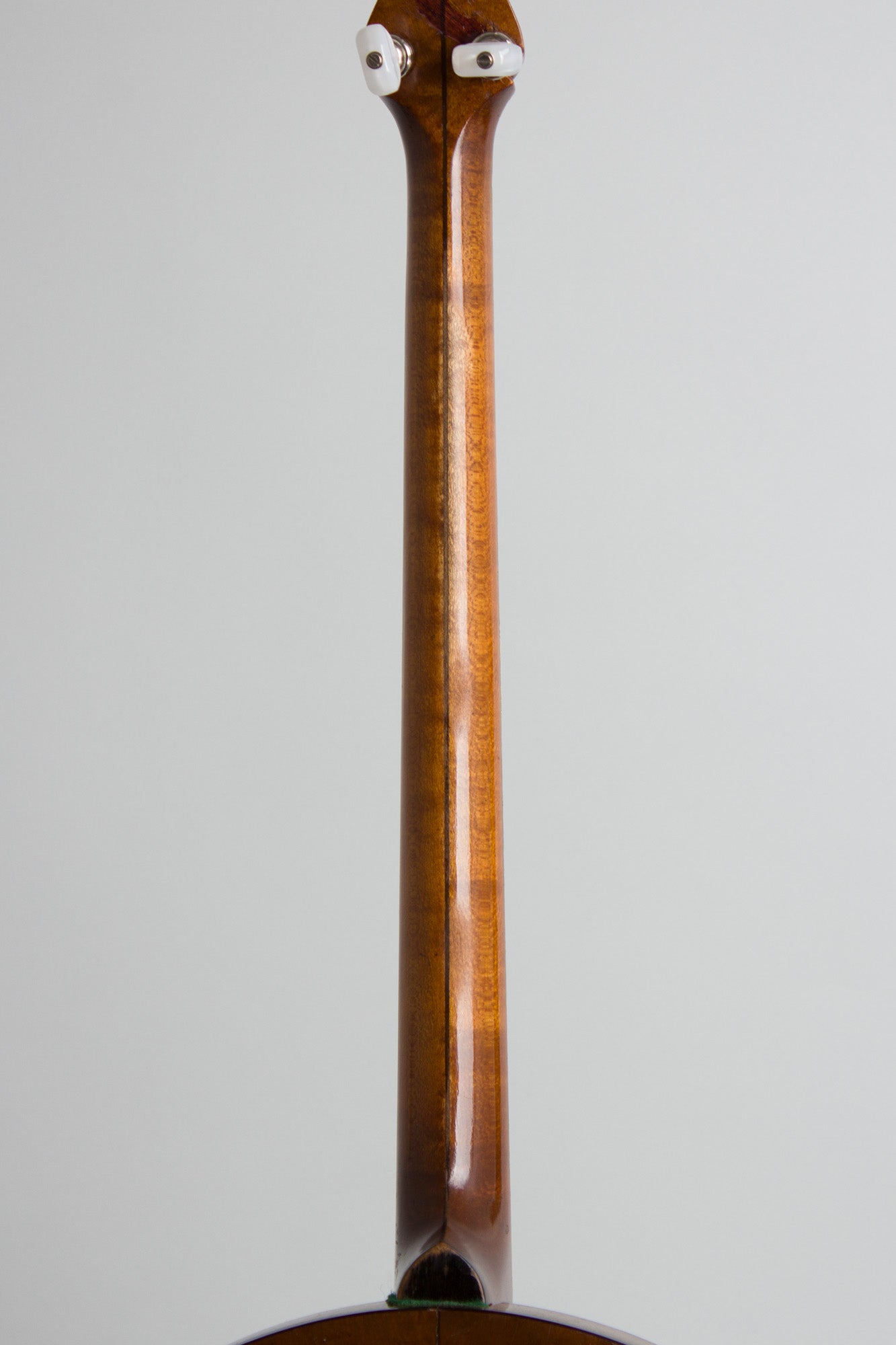 Vegaphone Professional Tenor Banjo (1927)