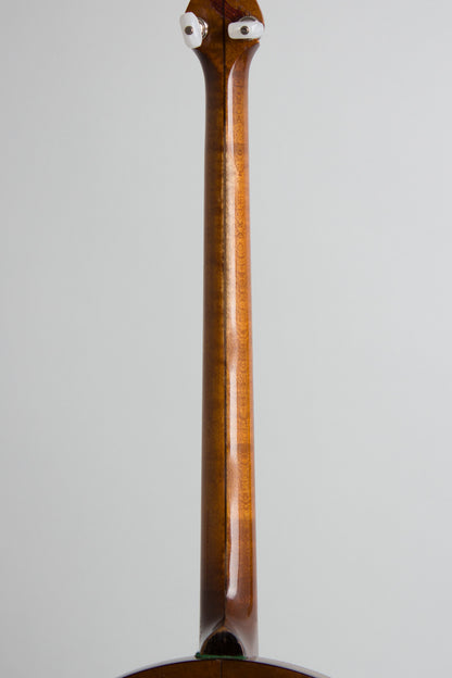 Vegaphone Professional Tenor Banjo (1927)