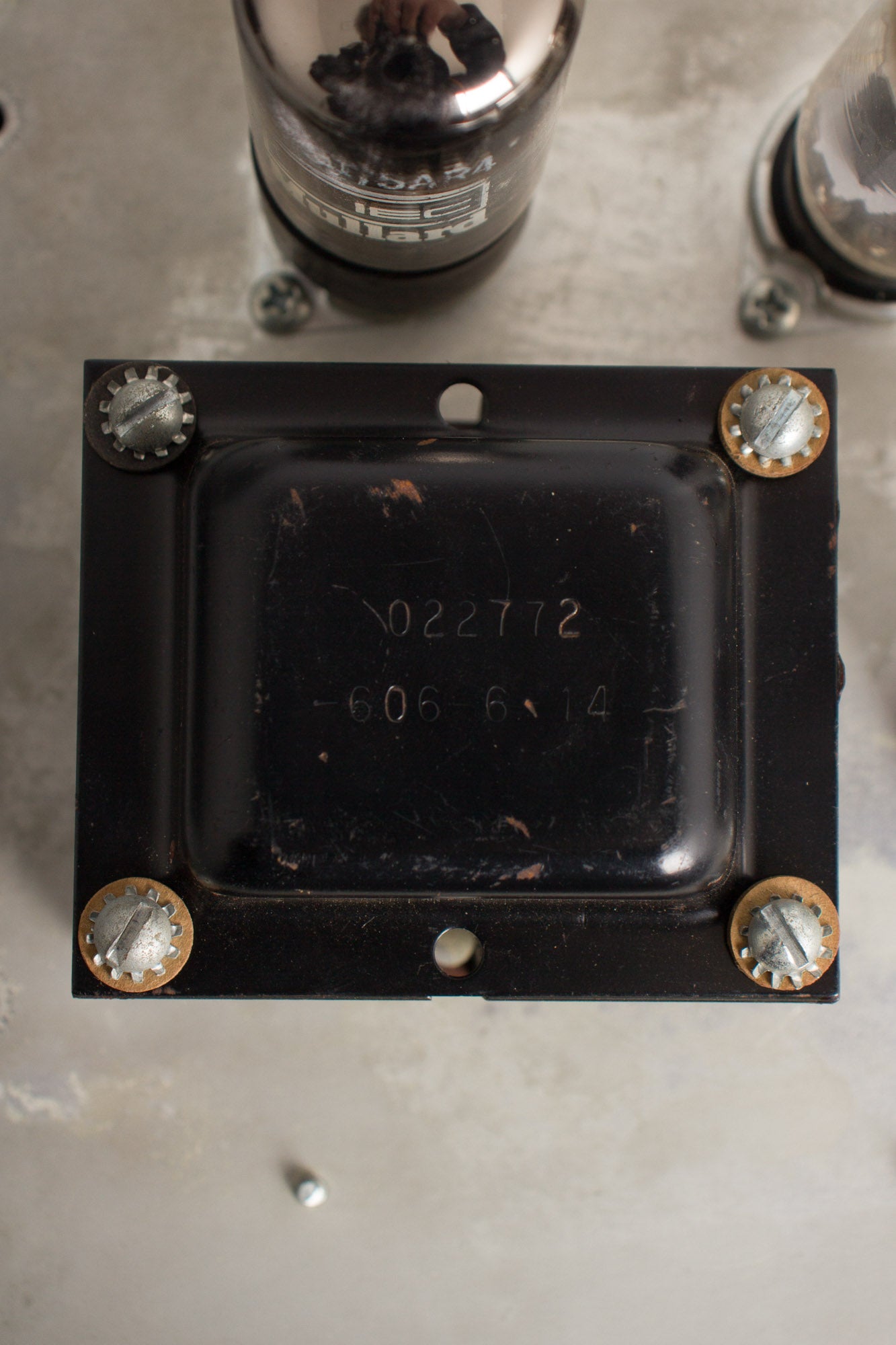 Fender Princeton Tube Amplifier (1966)
