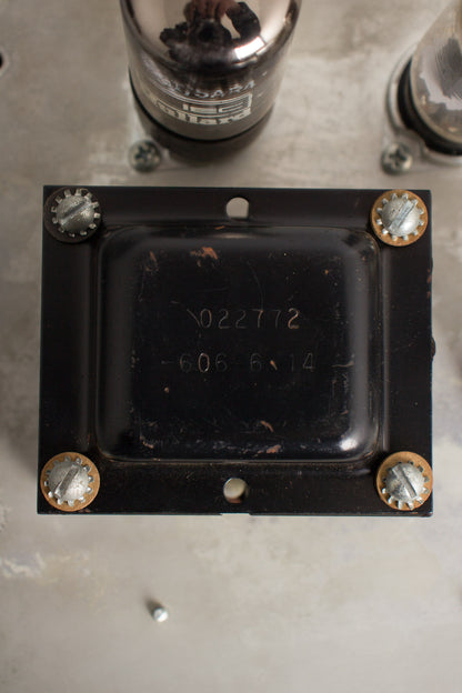 Fender Princeton Tube Amplifier (1966)