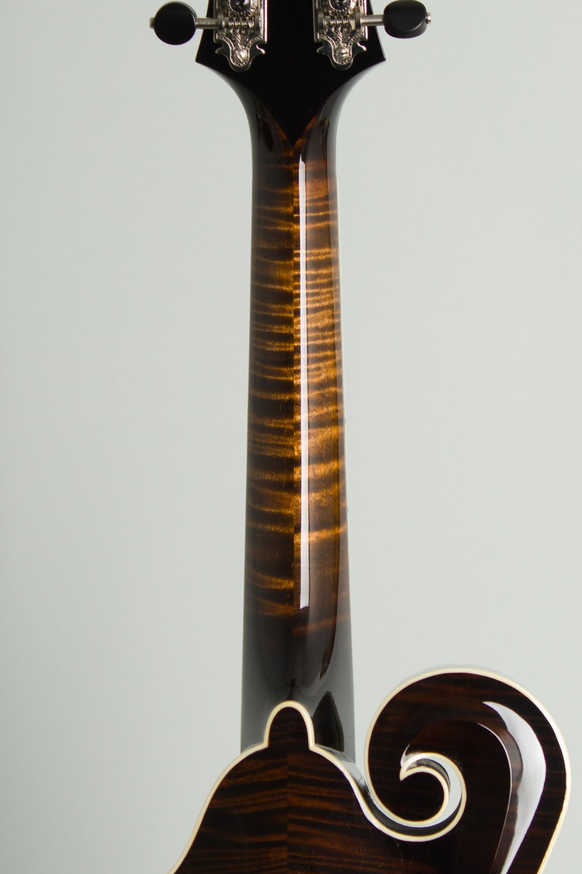 Northfield NFB-5FA Big Mon Carved Top Mandolin (2026)