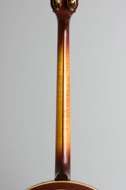Gibson TB-800 Mastertone Deluxe Tenor Banjo (1960s)