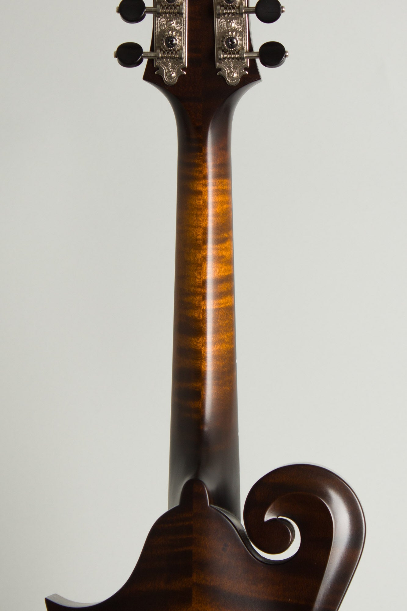 Northfield NFS-F5 Carved Top Mandolin (2026)