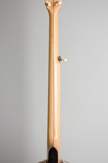 Bart Reiter Regent 5 String Banjo (2004)