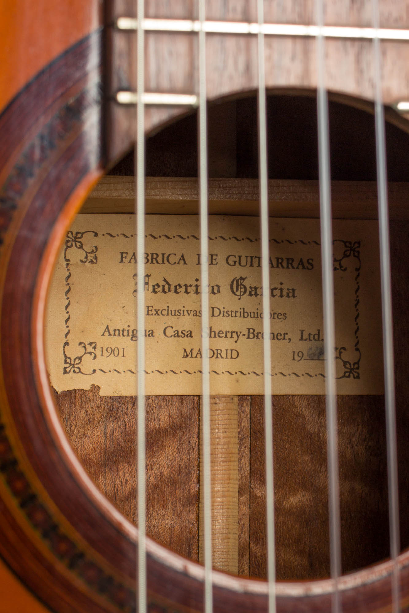 Federico Garcia Classical Guitar (1967)