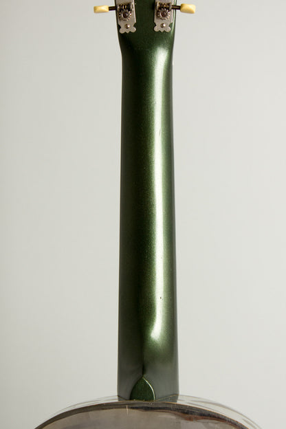 National Tricone Exploding Palm Tree Resophonic Guitar (1937)