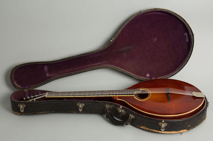 Gibson K-2 Carved Top Mandocello (1914)