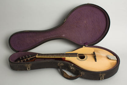 Gibson Style A-3 Carved Top Mandolin (1918)