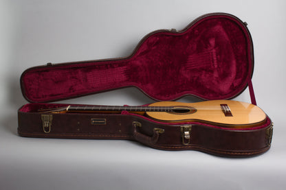 Darren Hippner Fleta pattern Classical Guitar (2004)