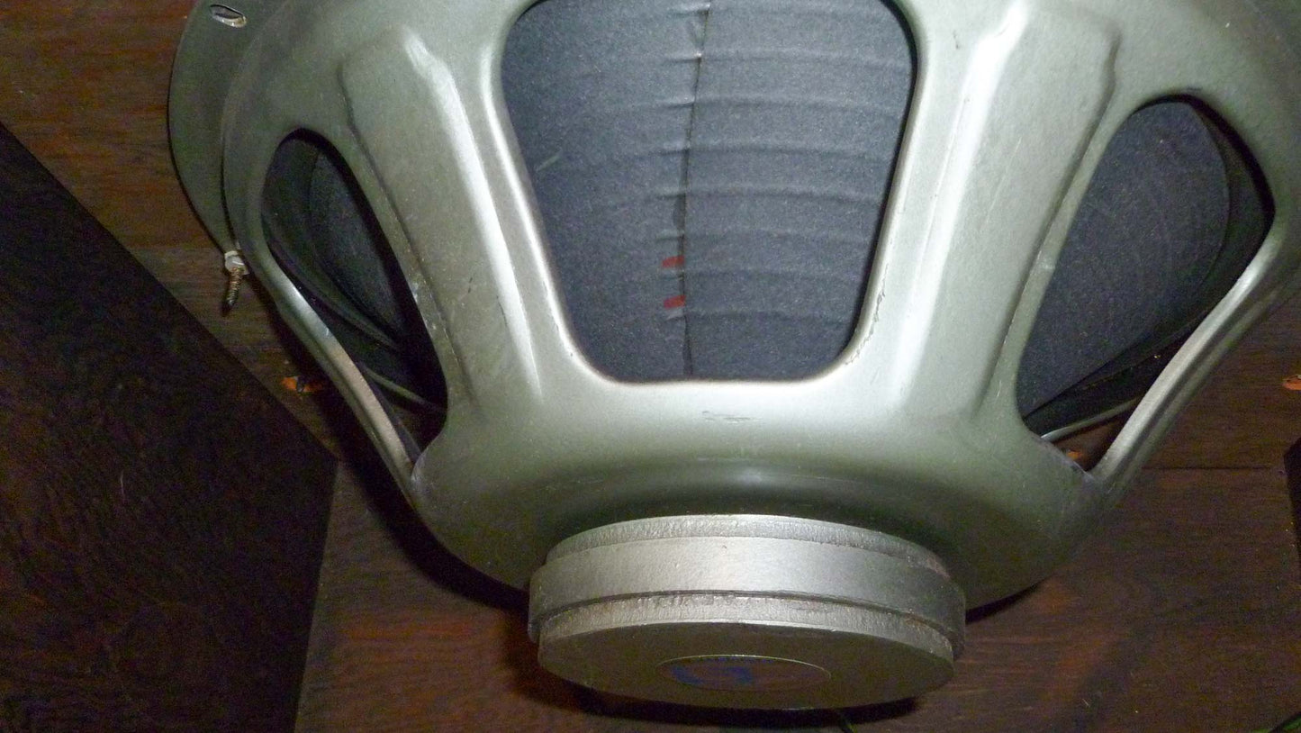 Ampeg B-15N Bass Tube Amplifier (1965)