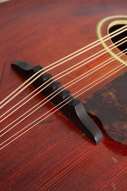 Gibson K-2 Carved Top Mandocello (1914)