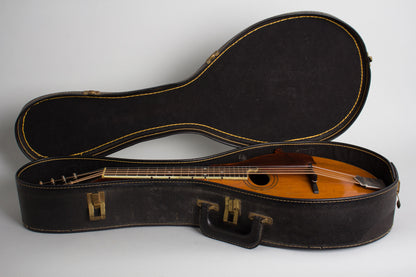 Gibson Style H-1 Carved Top Mandola (1913)