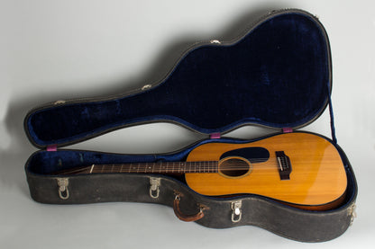 C. F. Martin D-12-20 12 String Flat Top Acoustic Guitar (1972)