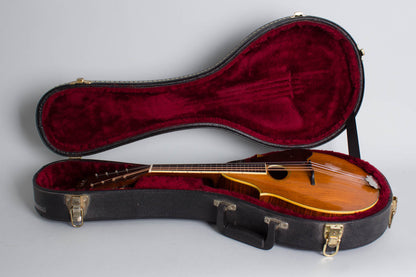 C. F. Martin Style 20 Carved Top Mandolin (1931)