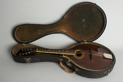 Gibson A-2 Carved Top Mandolin (1921)