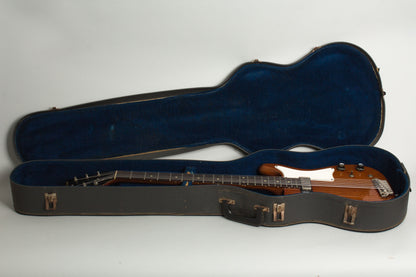 Epiphone EBS-6 Newport Electric 6-String Bass Guitar (1962)