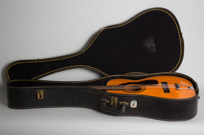 Harmony Silvertone Model 1227 12 String Flat Top Acoustic Guitar (1972)