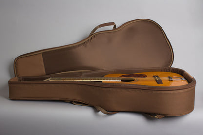 Harmony H-1270 12 String Flat Top Acoustic Guitar (1967)