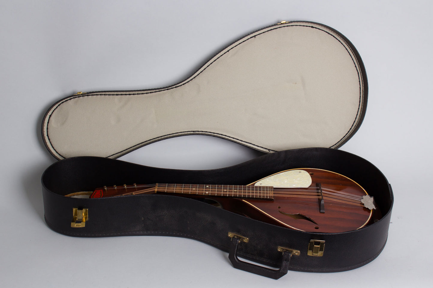 Regal Beltone Arch Top Mandolin (1940s)