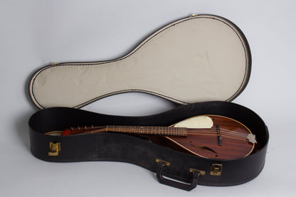 Regal Beltone Arch Top Mandolin (1940s)