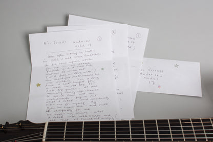 Steve Andersen Model 17 Made for and used by Bill Frisell Arch Top Hollow Body Electric Guitar (1995)