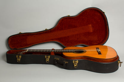 Del Pilar Classical Guitar (1980)