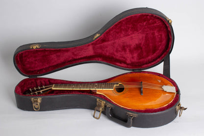 Gibson Style H-1 Carved Top Mandola (1915)