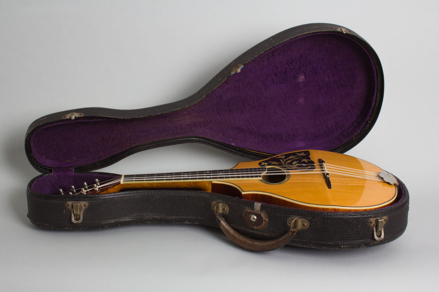 Vega Cylinder Back Model 205 Mandolin (1917)