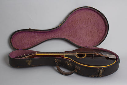 Gibson A-4 Carved Top Mandolin (1911)