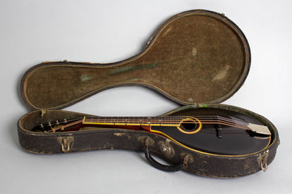 Gibson A-4 Carved Top Mandolin (1913)