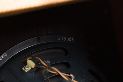 Fender Deluxe 5E3 Tube Amplifier (1956)