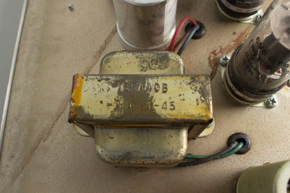 Fender Princeton Tube Amplifier (1964)