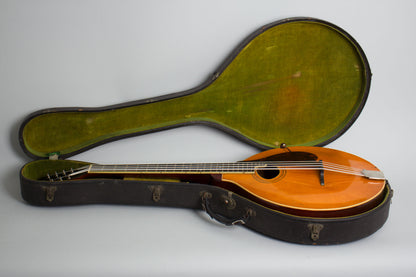 Gibson K-1 Carved Top Mandocello (1918)