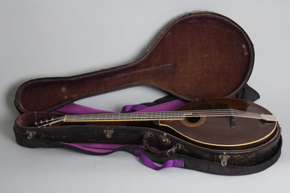 Gibson K-1 Carved Top Mandocello (1919)