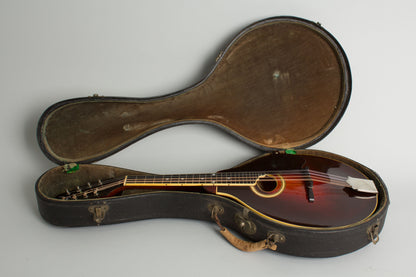 Gibson Model A-4 Snakehead Carved Top Mandolin (1923)