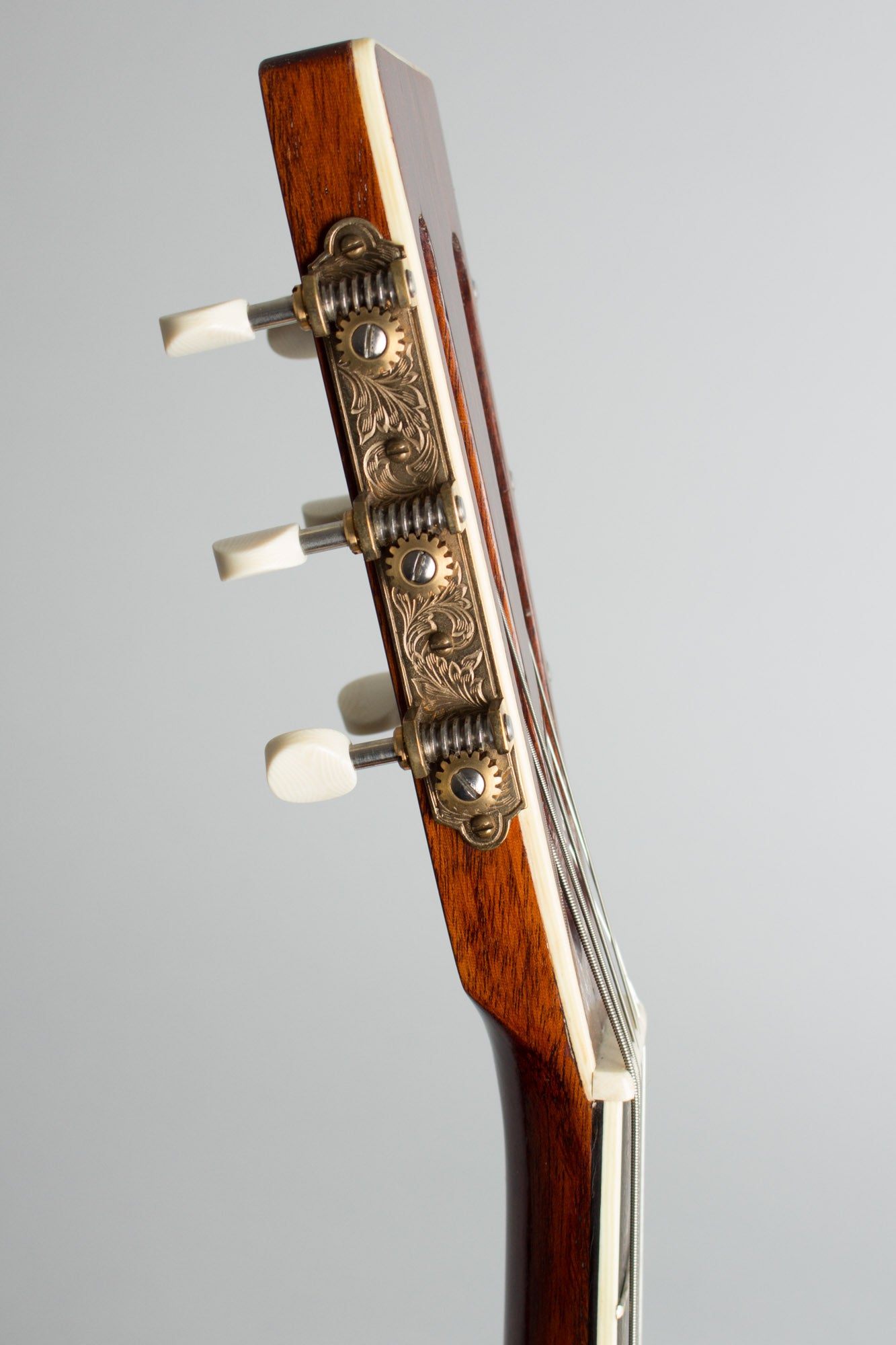Fraulini Fenezia Flat Top Acoustic Guitar