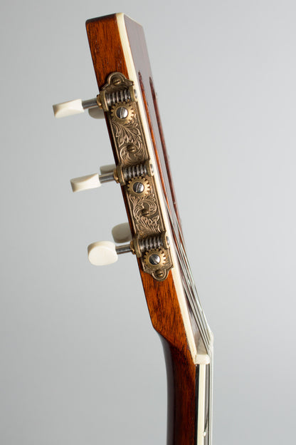 Fraulini Fenezia Flat Top Acoustic Guitar