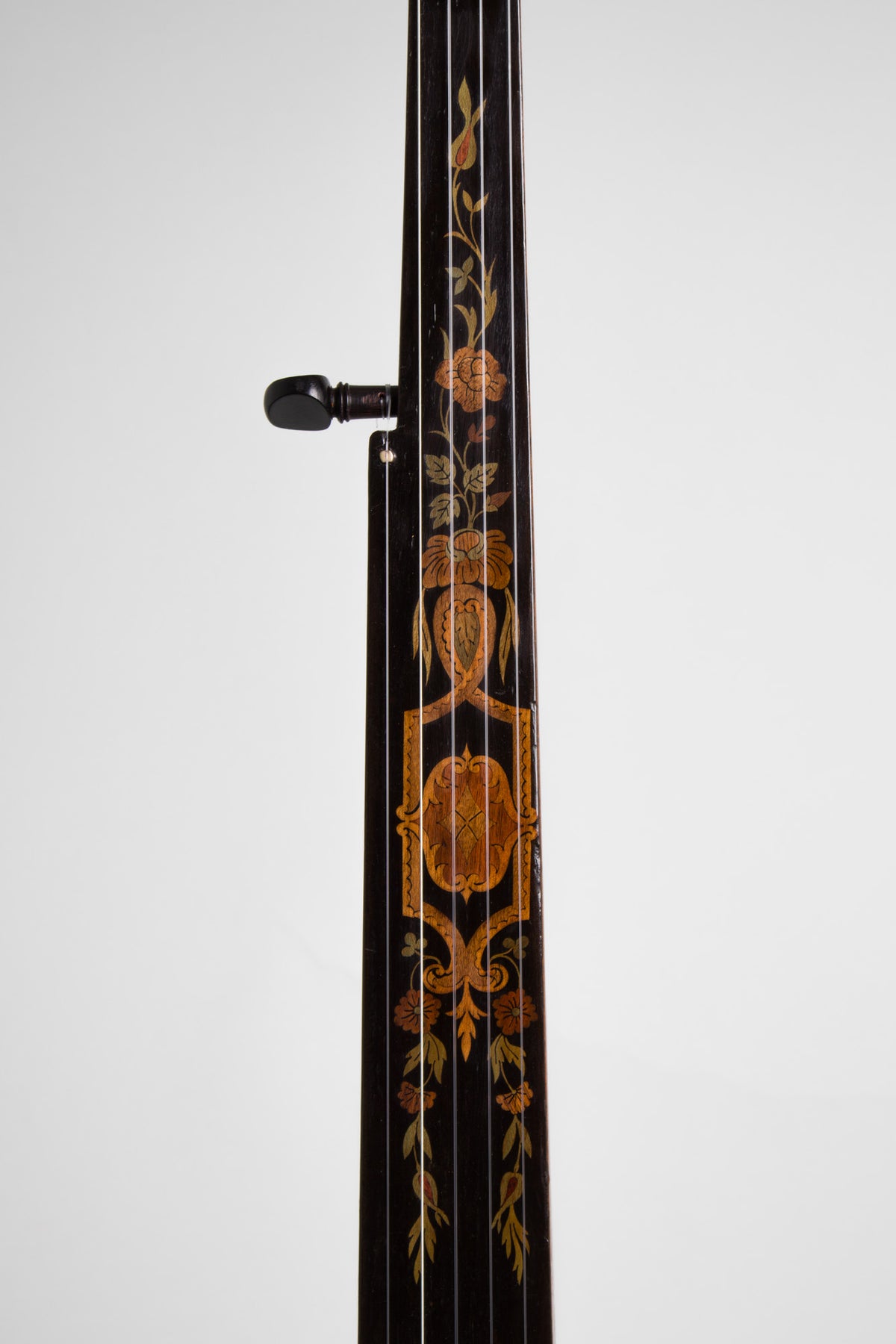 Buckbee 5 String Fretless Banjo (1880)