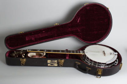 Monteleone Mastertone-style Neck on Alvarez Pot 5 String Resonator Banjo (1970/1973)
